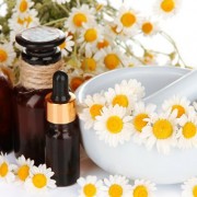 Chamomile Oil