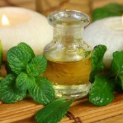 Peppermint Essential Oil