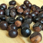 Guarana Seeds